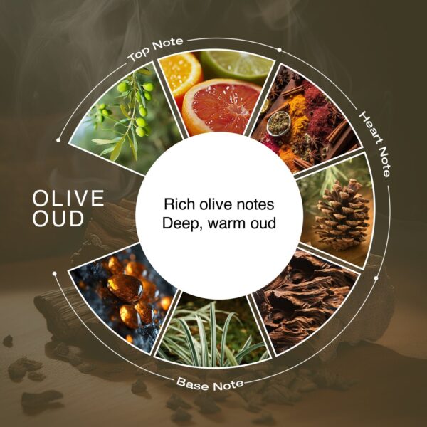 OLIVE OUD
fresh citrus & deep oudy,
oud fragrance
