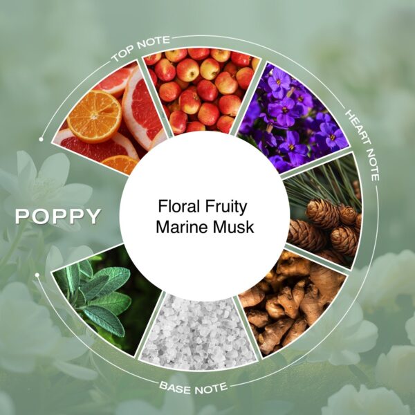 Poppy – Playful, Bright & Joyfully Alive
