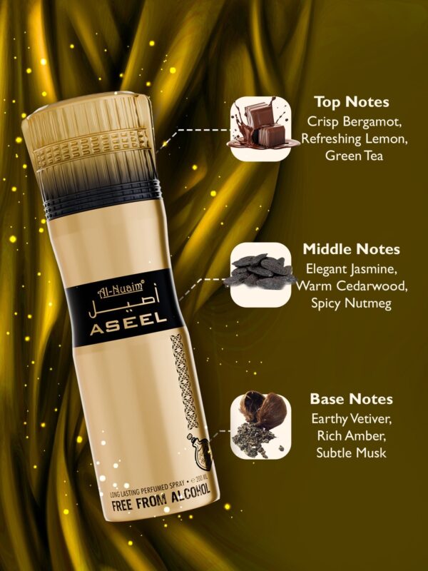 2026/05/1003306107.jpg ASEEL PERFUME BODY SPRAY